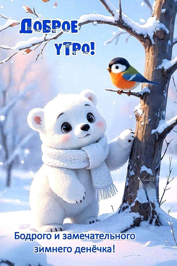 Доброе утро! Бодрого и замечательного зимнего денёчка!