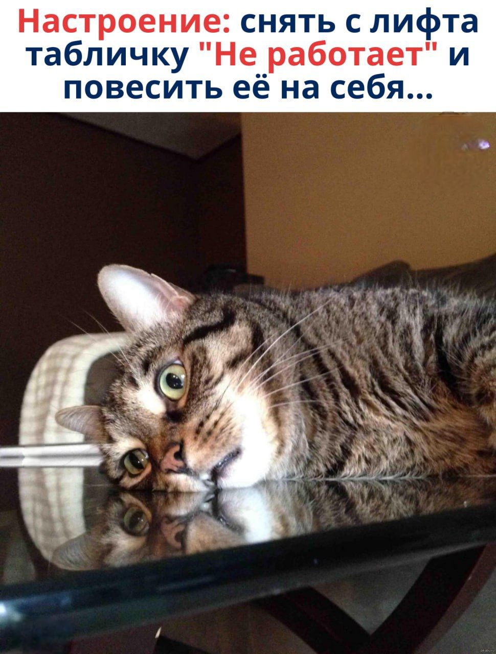 Настроение: снять с лифта табличку 