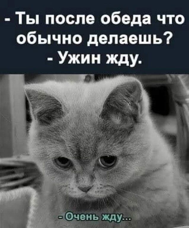 - Ты после обеда что обычно делаешь? - Ужин жду. - Очень жду...