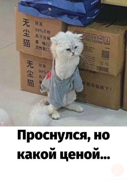 Проснулся, но какой ценой...