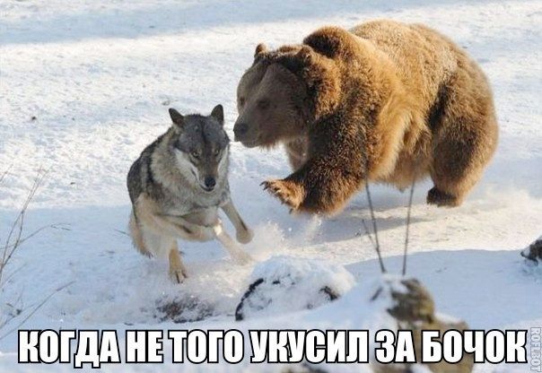 КОГДА НЕ ТОГО УКСИЛ ЗА БОЧОК