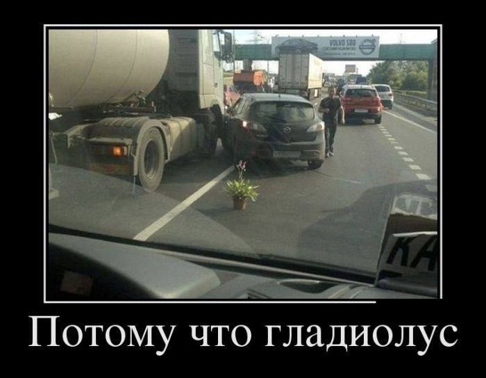 Потому что гладиолус