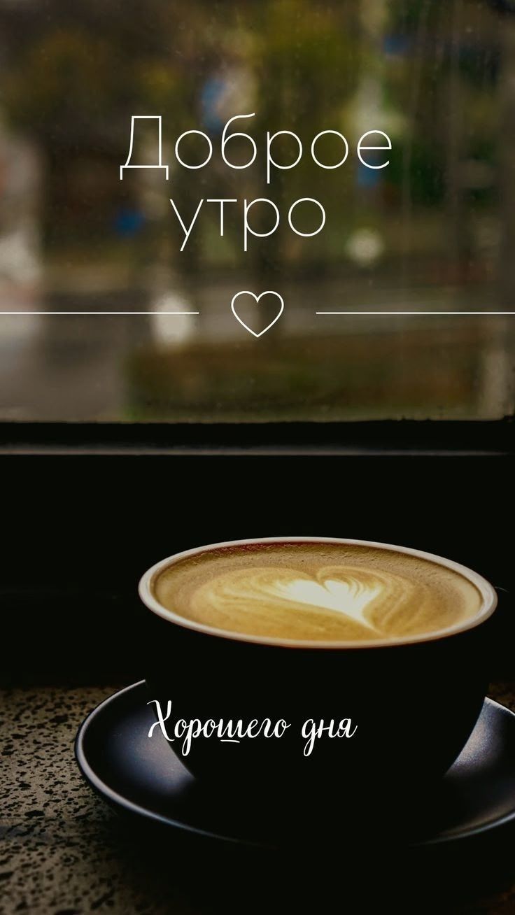 Доброе утро
Хорошего дня