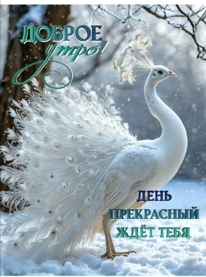 Доброе утро! День прекрасный ждёт тебя