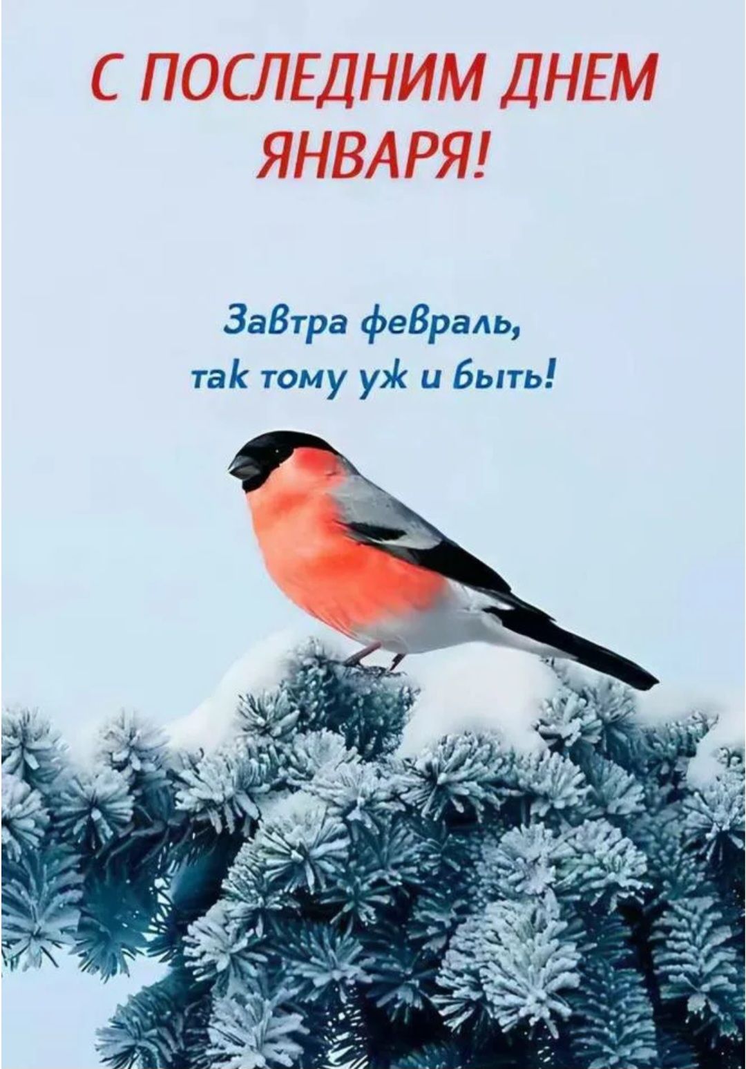 С ПОСЛЕДНИМ ДНЕМ ЯНВАРЯ! Завтра февраль, так тому и быть!