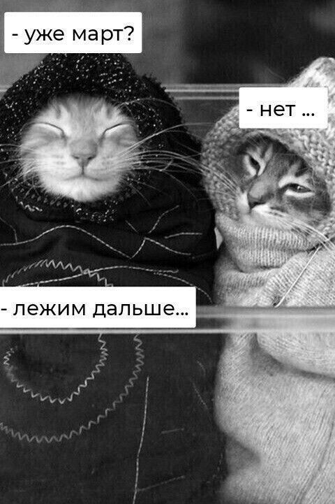 - уже март?
-нет …
- лежим дальше...
