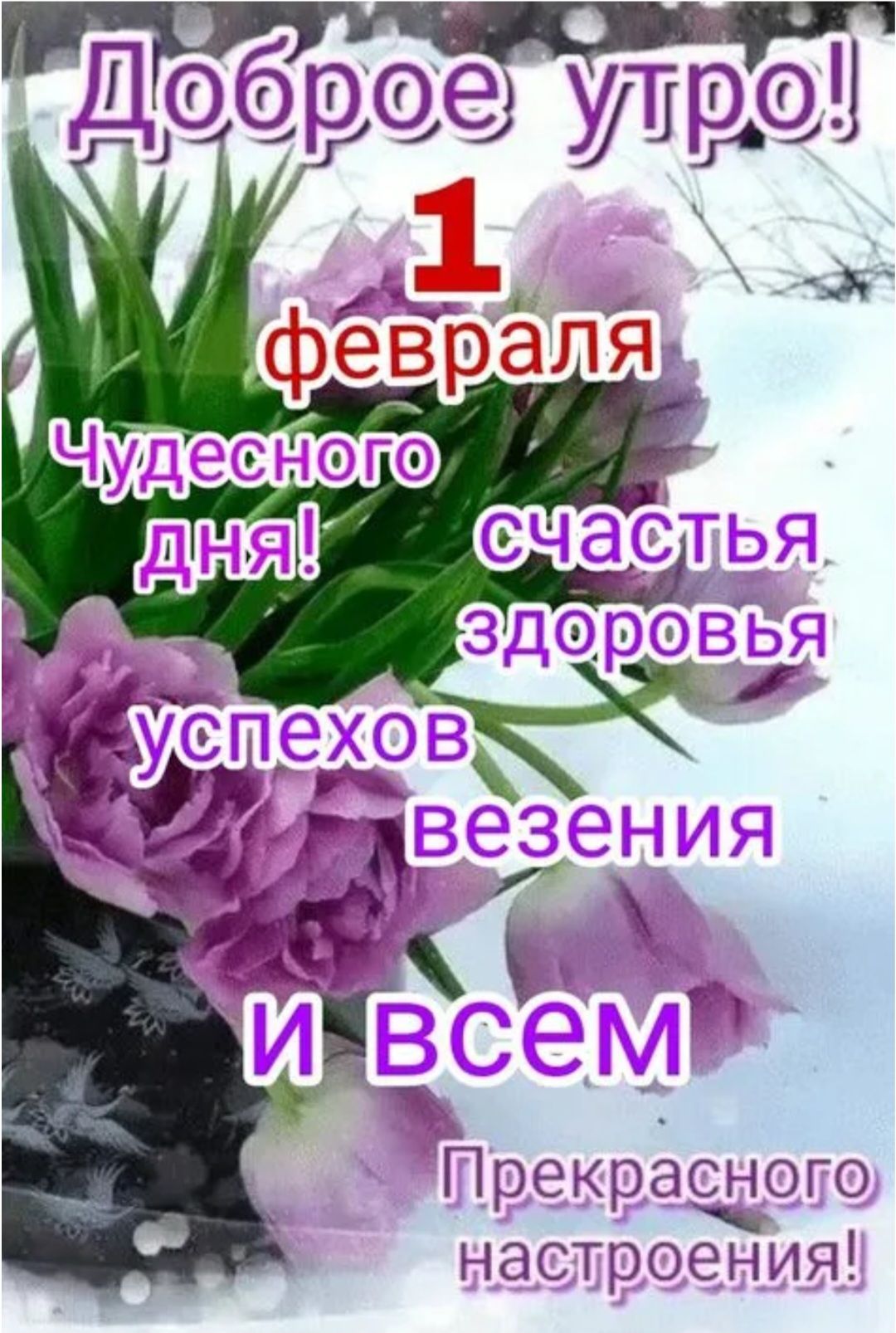 Доброе утро! 1 февраля Чудесного дня! счастья здоровья успехов везения И всем Прекрасного настроения!