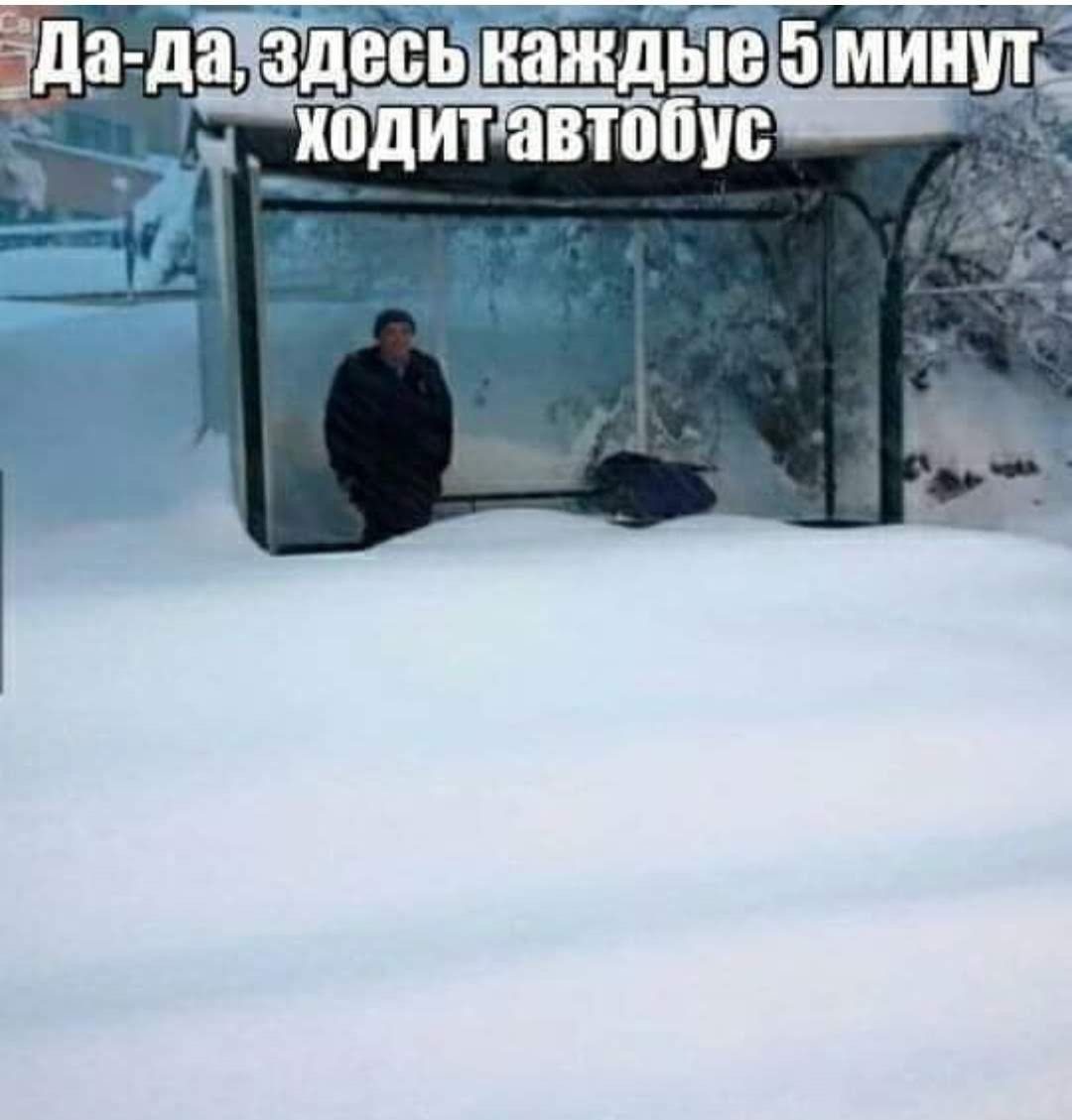 Да-да, здесь каждые 5 минут ходит автобус