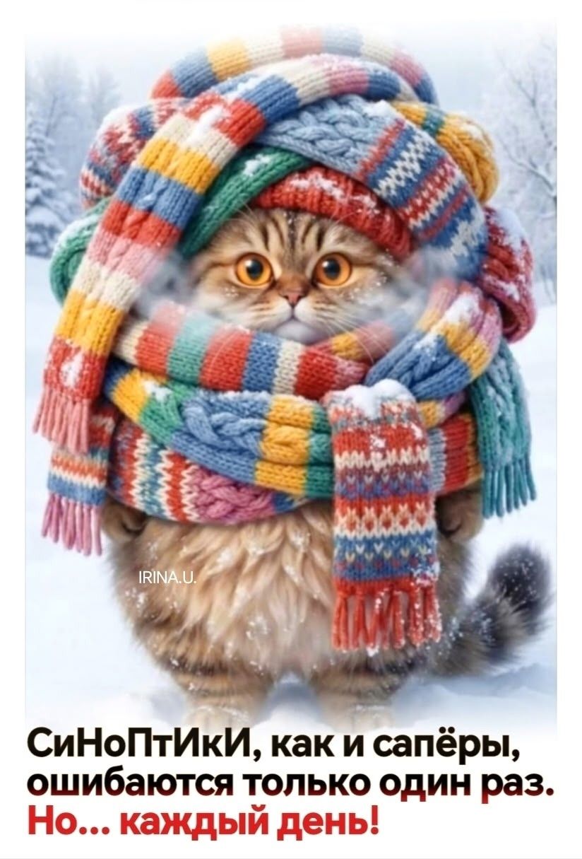 Синоптики, как и сапёры, ошибаются только один раз. Но... каждый день!