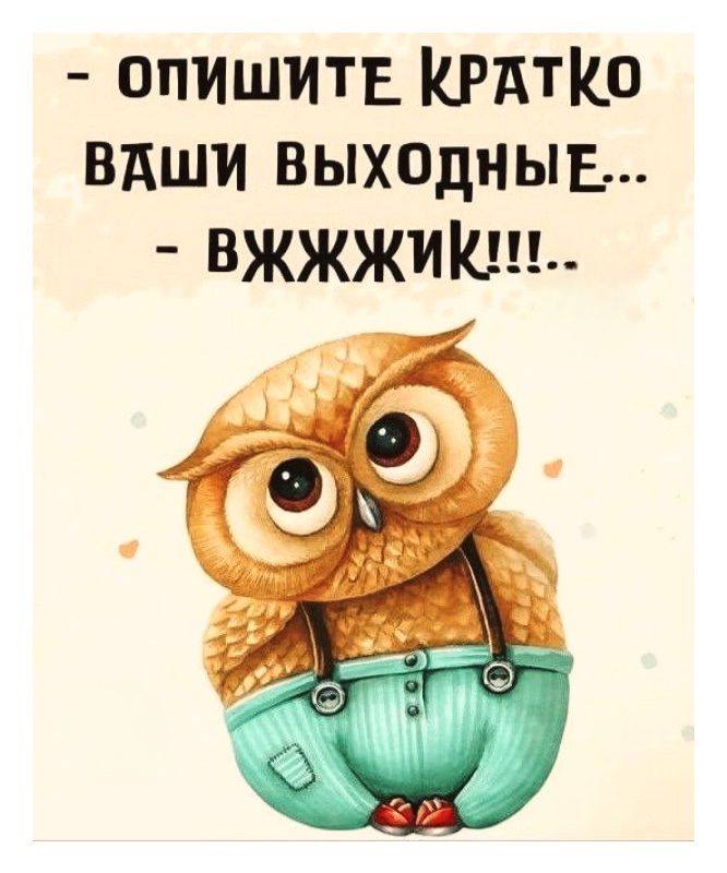 - ОПИШИТЕ КРАТКО ВАШИ ВЫХОДНЫЕ... - ВЖЖИК!!!