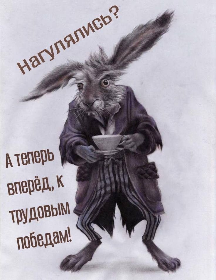 Нагулялся? А теперь вперёд, к трудовым победам!