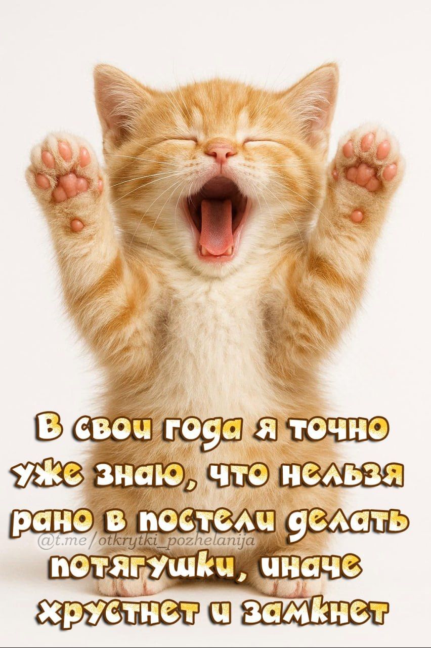 В свои года я точно уже знаю, что нельзя рано в постели делать потягушки, иначе хрустнет изамнет