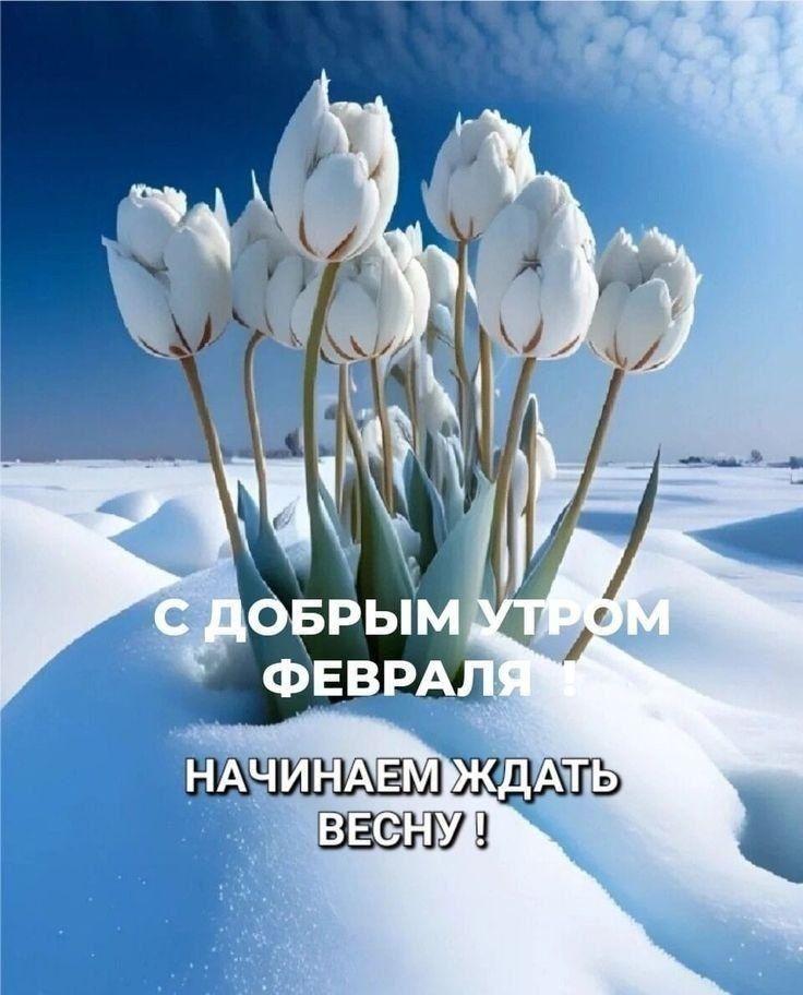 С ДОБРЫМ УТРОМ ФЕВРАЛЯ НАЧИНАЕМ ЖДАТЬ ВЕСНУ !