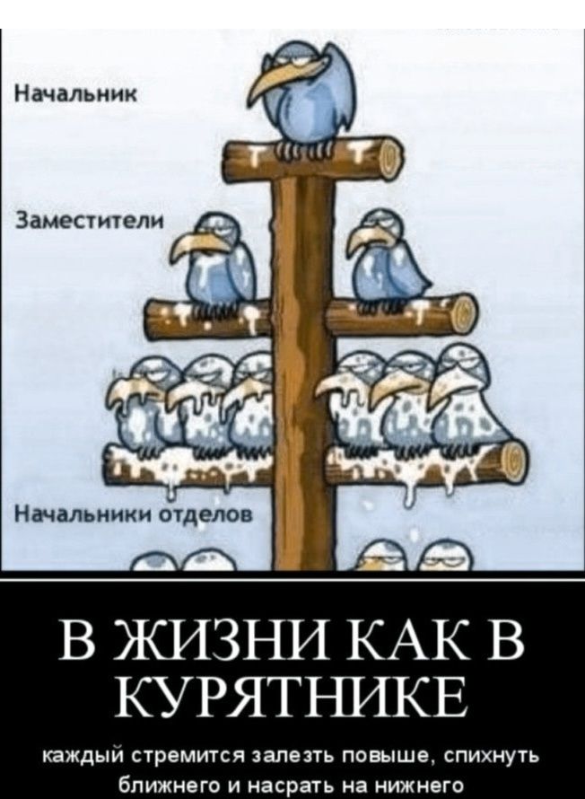 Начальник
Заместители
Начальники отделов
В ЖИЗНИ КАК В КУРЯТНИКЕ каждый стремится залезть повыше, спихнуть ближнего и насрать на нижнего