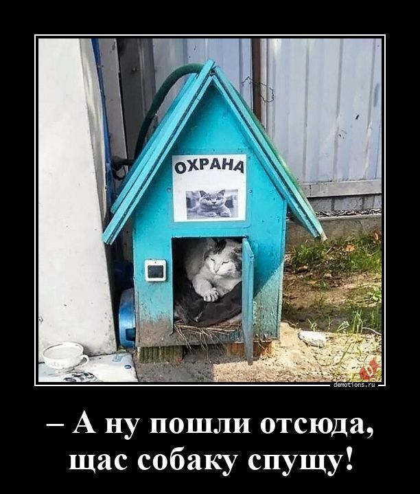 ОХРАНА
— А ну пошли отсюда, щас собаку спущу!