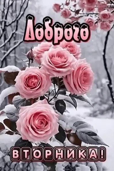 Доброе вторника!