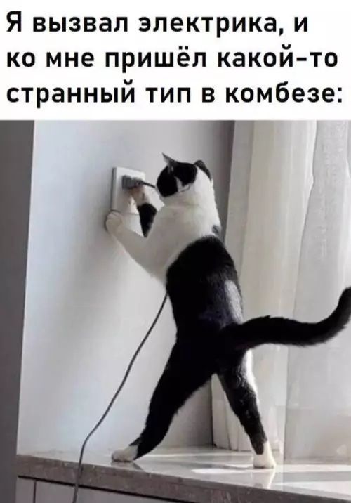 Я вызвал электрика, и ко мне пришёл какой-то странный тип в комбинезе: