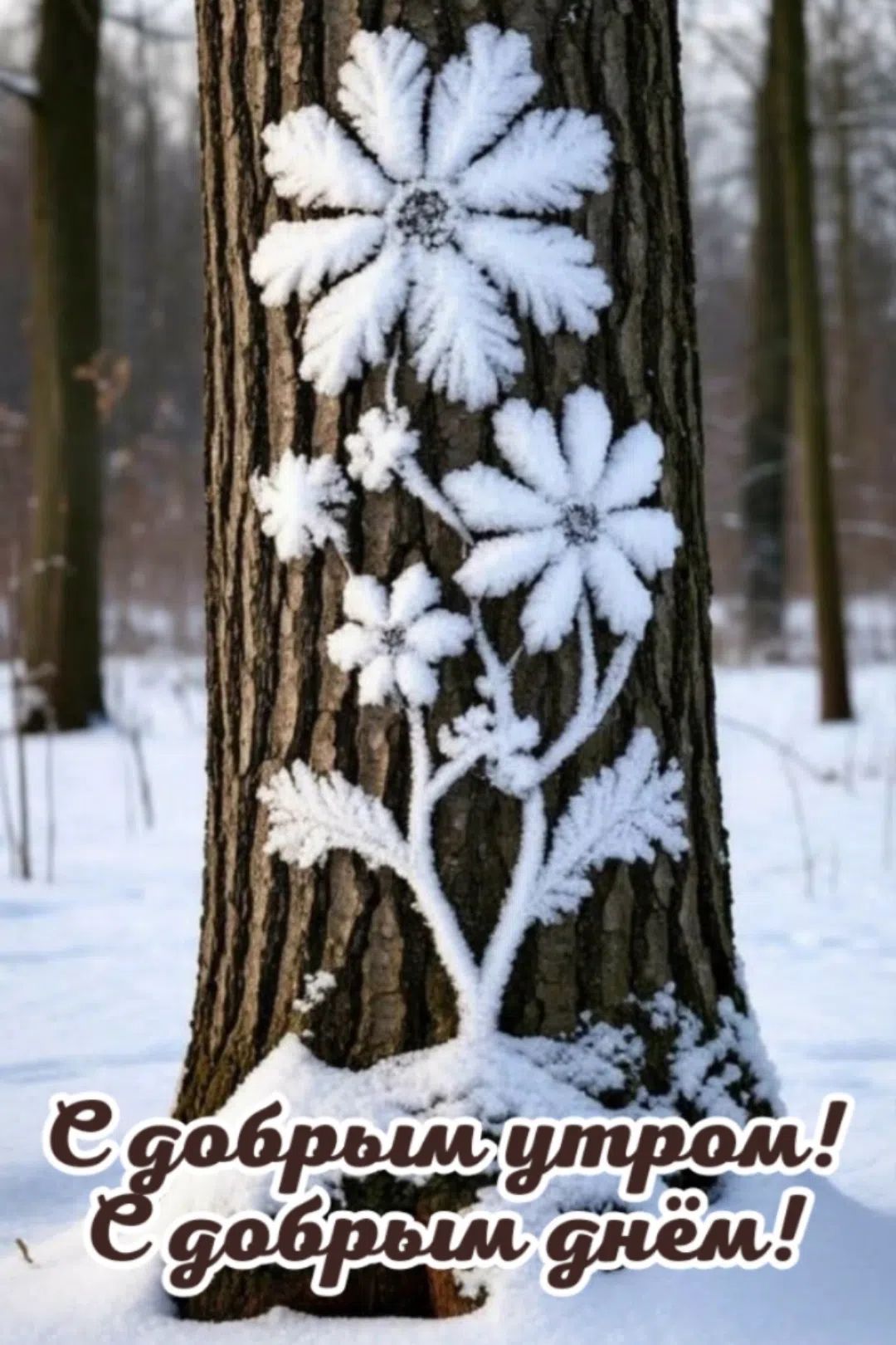 С добрым утром! Е добрым днём!