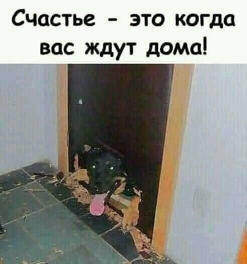 Счастье - это когда вас ждут дома!