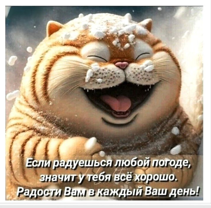 Если радуешься любой погоде, значит у тебя всё хорошо. Радости Вам в каждый Ваш день!