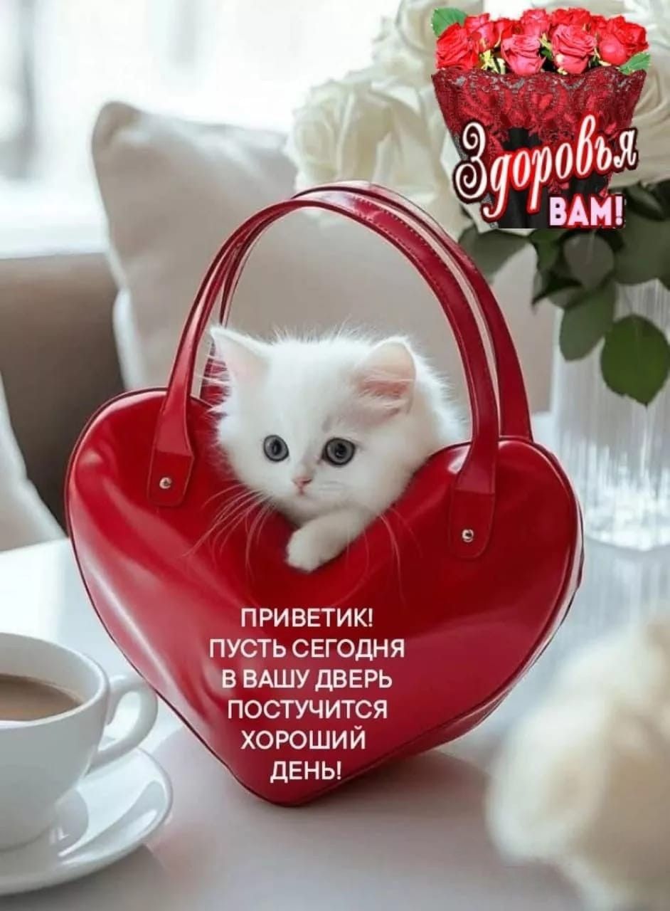 ПРИВЕТИК! ПОСТЬ СЕГОДНЯ В ВАШУ ДВЕРЬ ПОСТУЧУТСЯ ХОРОШИЙ ДЕНЬ!