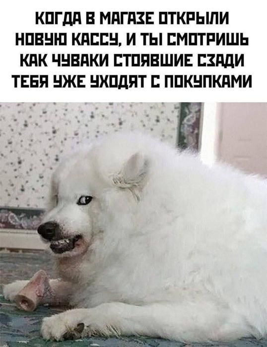 Когда в магазине открыли новую кассу, и ты смотришь как чуваки стоявшие сзади тебя уже уходят с покупками
