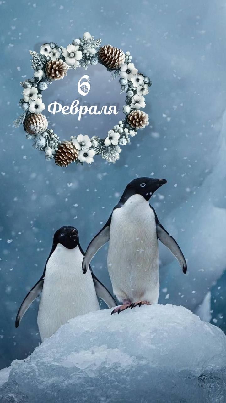 6 Февраля