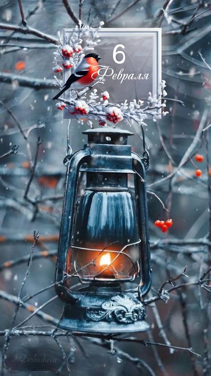 6 Февраля