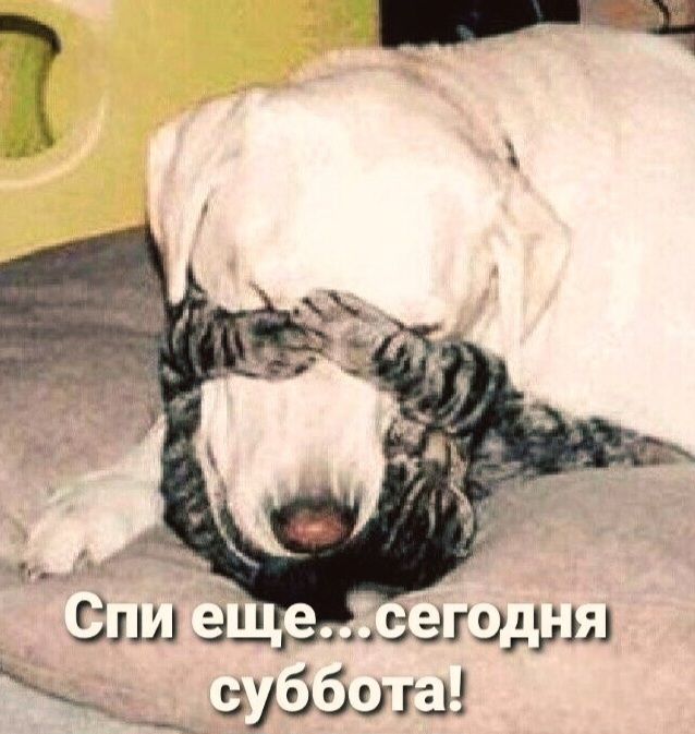 Спи еще...сегодня суббота!