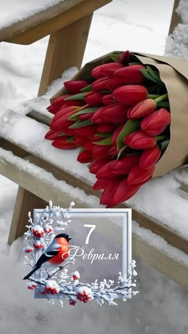 7 Февраля