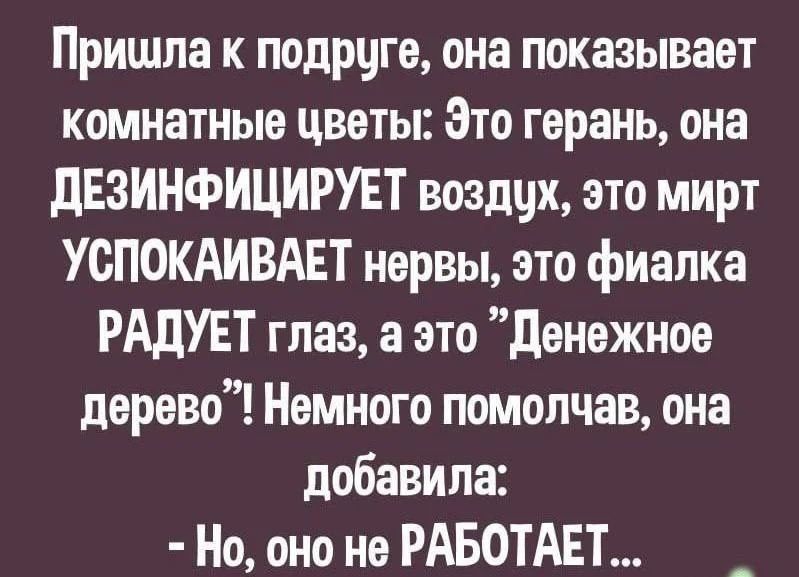 Пришла к подруге, она показывает комнатные цветы: Это герань, она ДЕЗИНФИЦИРИРУЕТ воздух, это мирт УСПОКАИВАЕТ нервы, это фиалка РАДУЕТ глаз, а это “Денежное дерево”! Немного помолчав, она добавила: - Но, оно не РАБОТАЕТ...