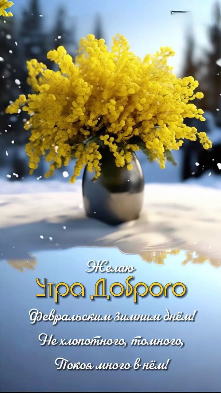 Желаю утра доброго Февральский зимний день! Не холодного, темного; покоя много в нём!