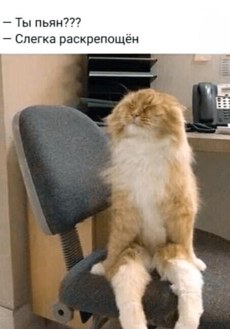 — Ты пьян???
— Слегка раскрепощён

