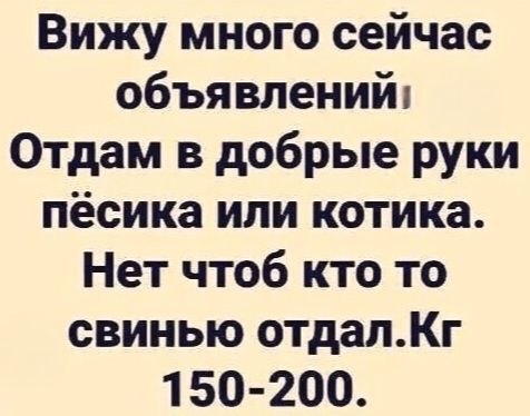 Вижу много сейчас объявлений! Отдам в добрые руки пёсика или котика. Нет чтоб кто то свинью отдал.Кг 150-200.