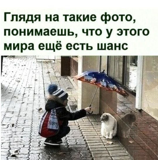 Глядя на такие фото, понимаешь, что у этого мира ещё есть шанс