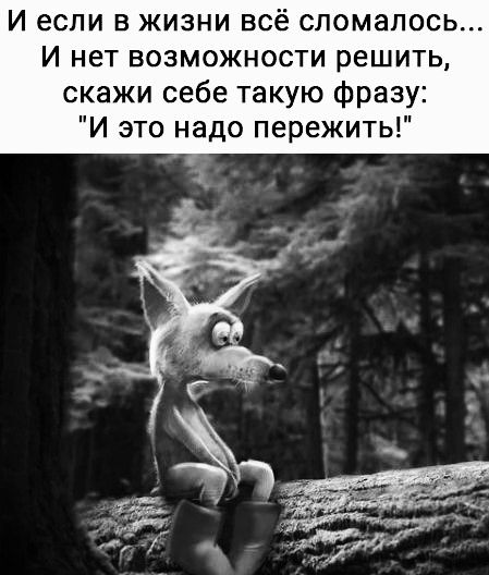 и если в жизни всё сломалось... и нет возможности решить, скажи себе такую фразу: 