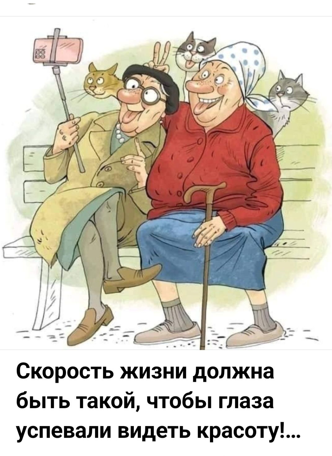 Скорость жизни должна быть такой, чтобы глаза успевали видеть красоту!