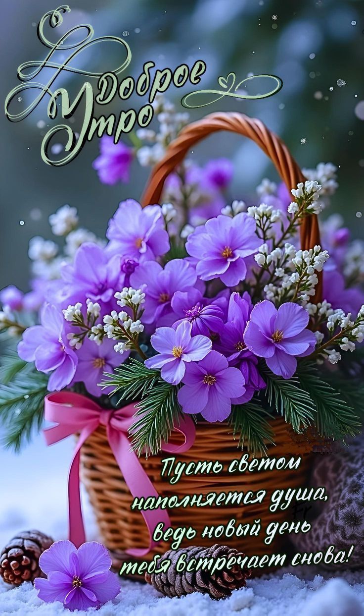 Доброе утро. Пусть светом наполняется душа, ведь новый день тебя встречает снова!