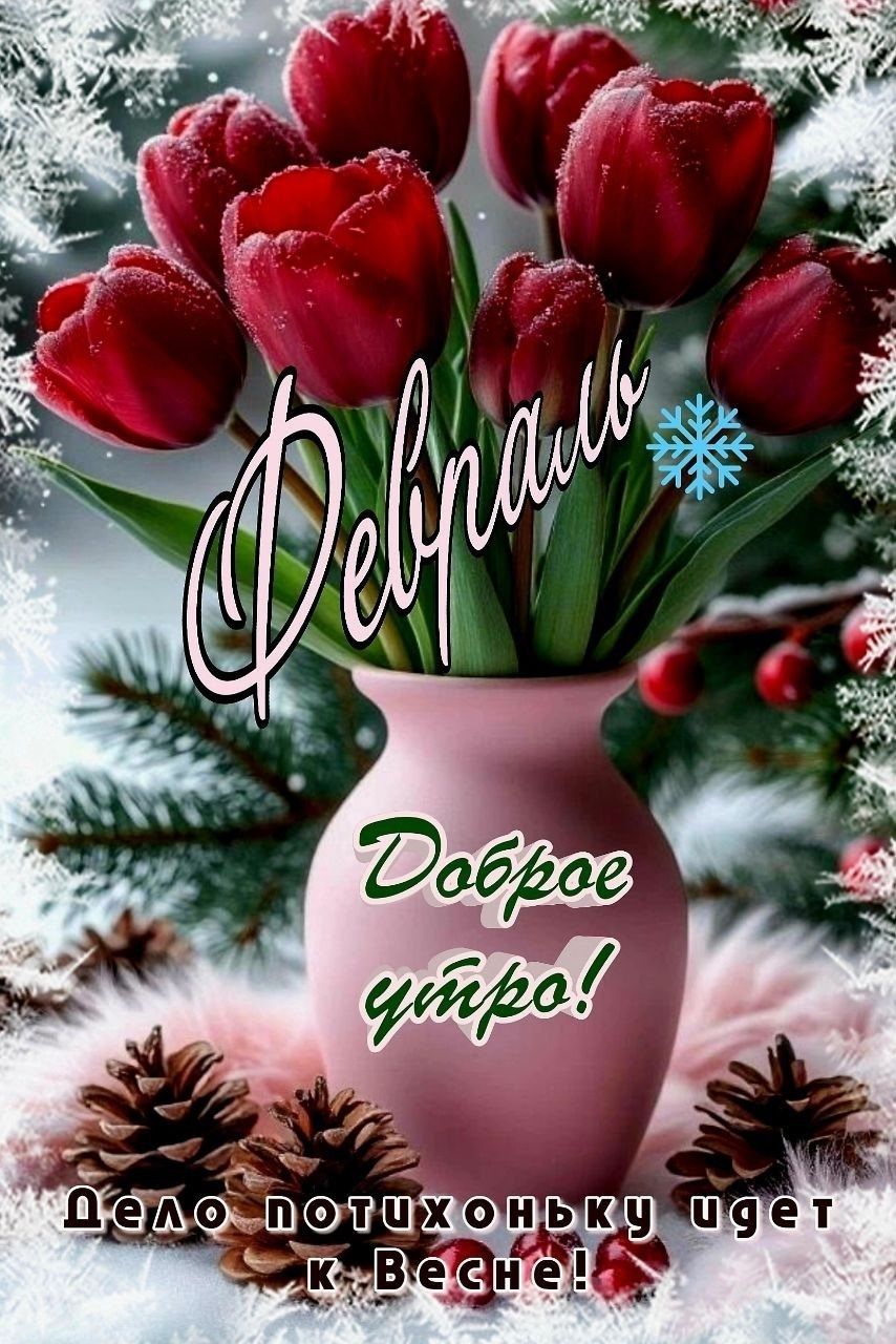 Февраль Доброе утро! Дело пошло к Весне!