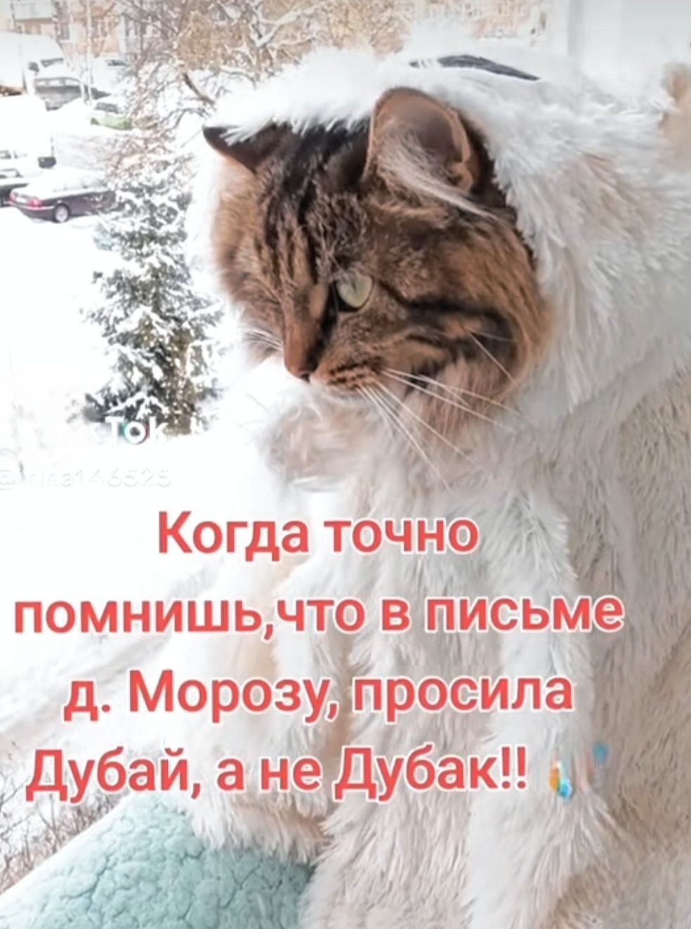 Когда точно помнишь, что в письме д. Морозу, просила Дубай, а не Дубак!!