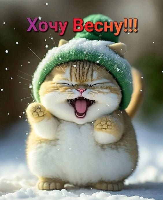 Хочу Весну!!!