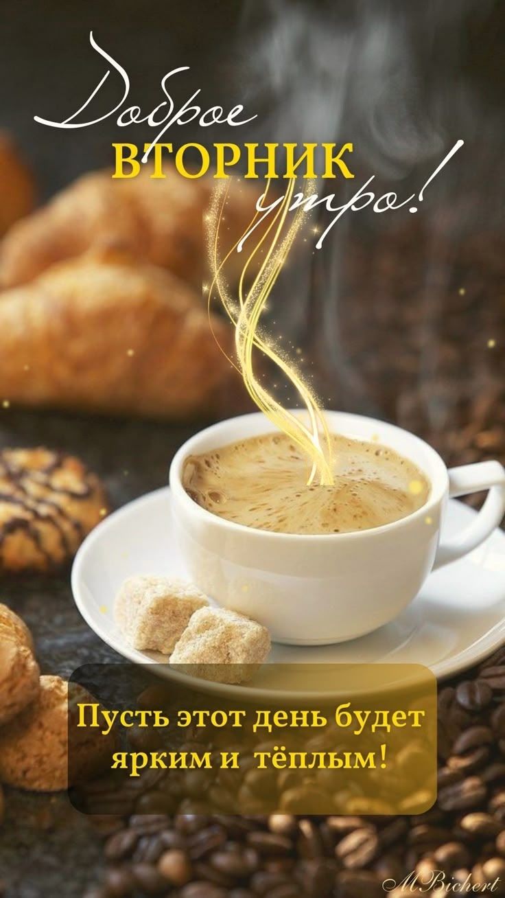 Доброе вторник утро! Пусть этот день будет ярким и тёплым!