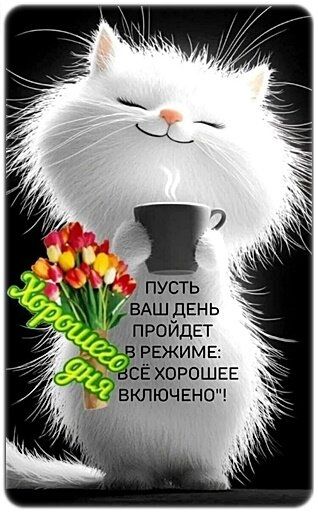 Пусть ваш день пройдет в режиме: всё хорошее включено! Поздравляю