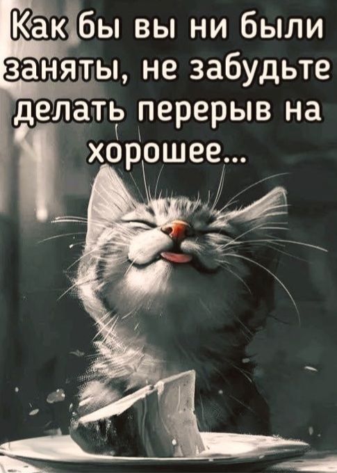 Как бы вы ни были заняты, не забыть делать перерыв на хорошее...