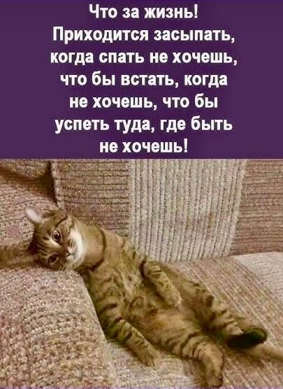 Что за жизнь! Приходит засыпать, когда спать не хочешь, чтобы встать, когда не хочешь, чтобы успеть туда, где быть не хочешь!