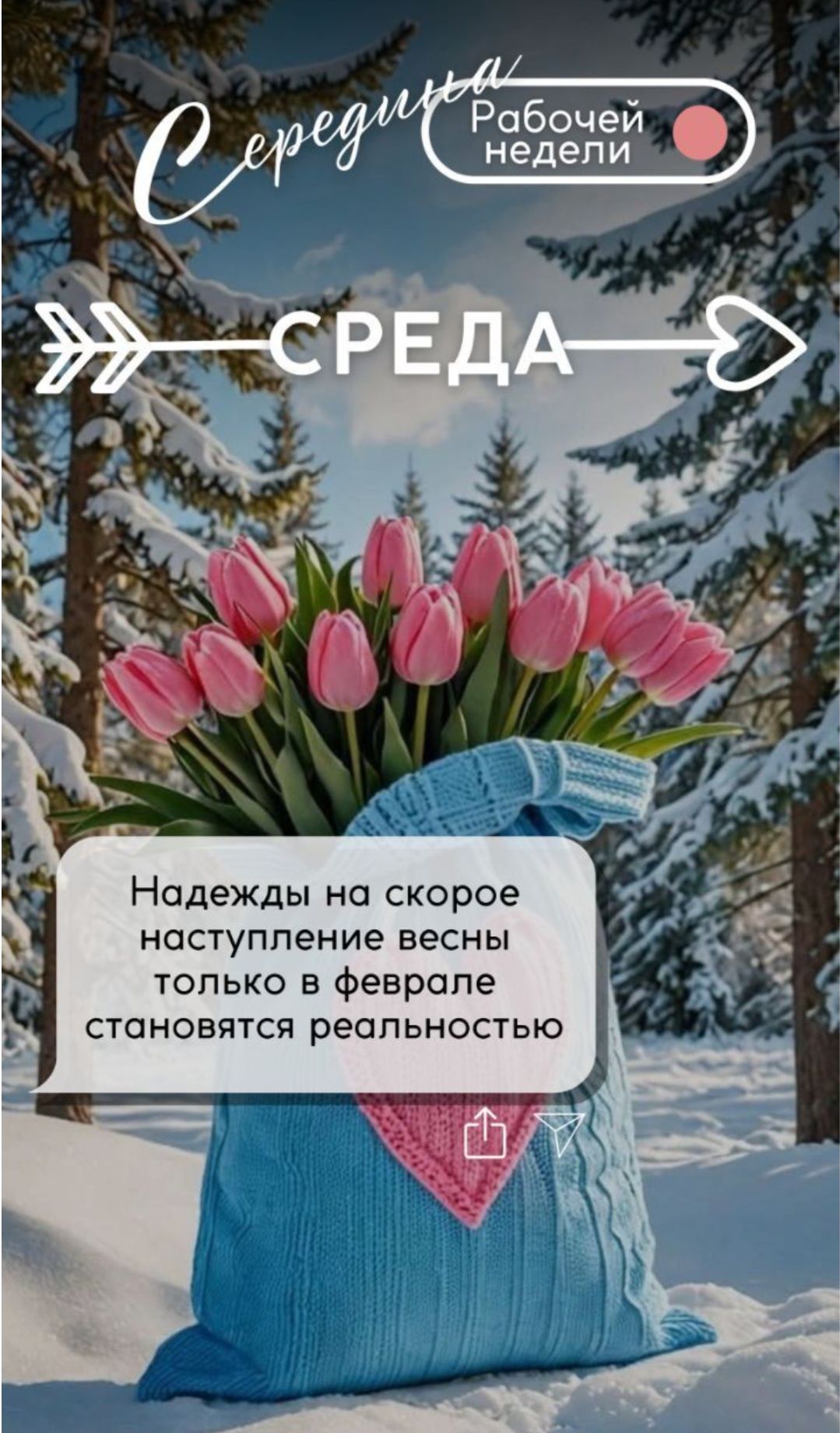 Середина Рабочей недели
СРЕДА
Надежды на скорое наступление весны только в феврале становятся реальностью