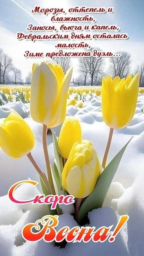 Морозы, оттепель и влажность, Заносы, вибга и капель, Февральским дням осталась малость, Зиме предложена дуэль... Скоро Весна!