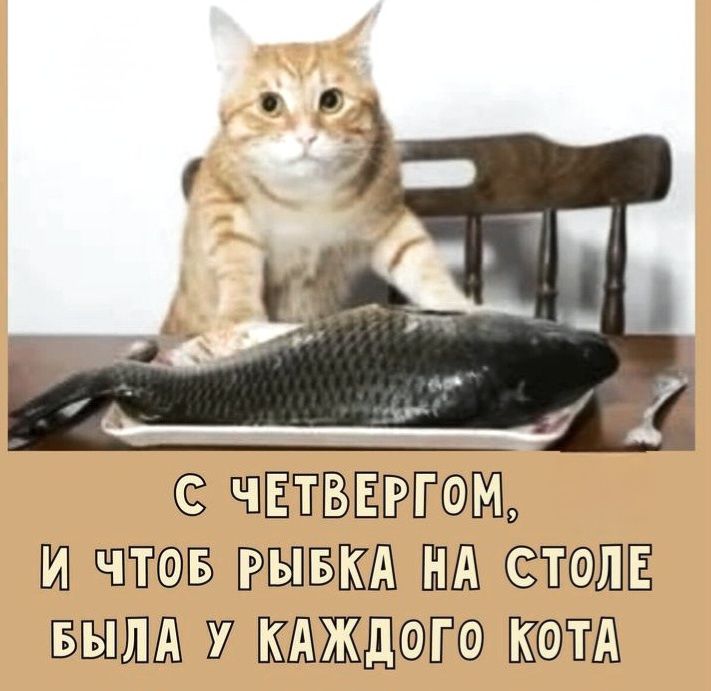С ЧЕТВЕРОГОМ, И ЧТОБ РЫБКА НА СТОЛЕ БЫЛА У КАЖДОГО КОТА