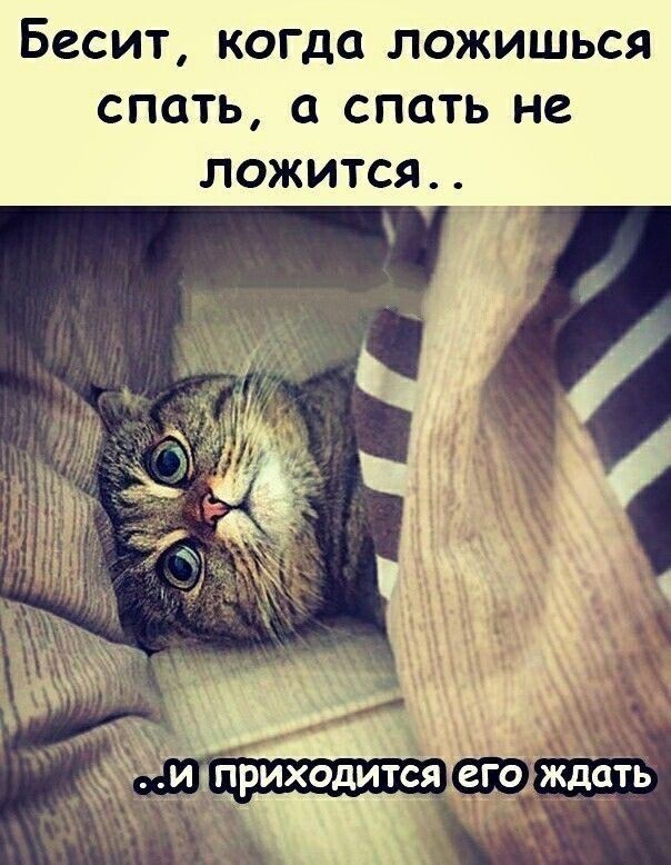 Бесит, когда ложишься спать, а спать не ложится.. и приходится его ждать