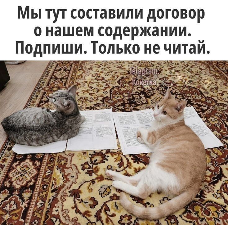 Мы тут составили договор о нашем содержании. Подпиши. Только не читай.